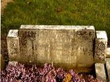 image of grave number 56188